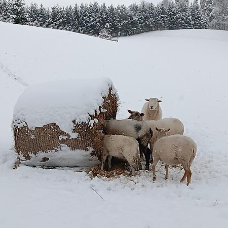 Ubytovani Na Vejminku Appartement Rtyne v Podkrkonosi Buitenkant foto