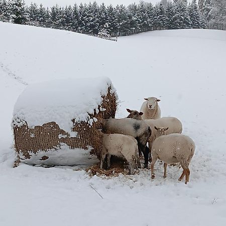 Ubytovani Na Vejminku Rtyne v Podkrkonosi Buitenkant foto