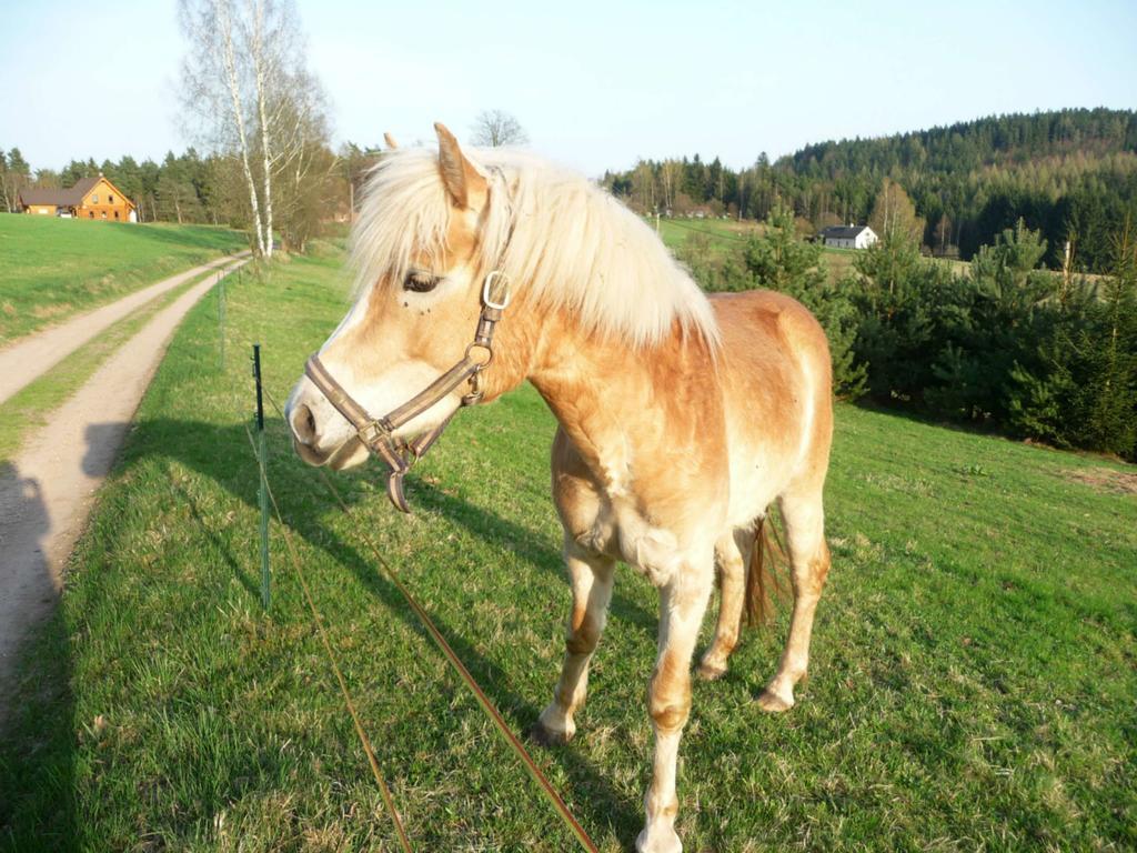 Ubytovani Na Vejminku Rtyne v Podkrkonosi Buitenkant foto