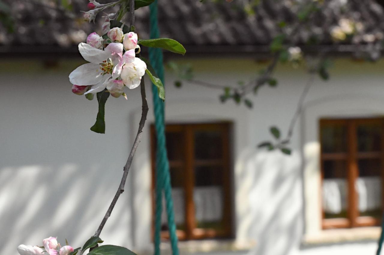 Ubytovani Na Vejminku Appartement Rtyne v Podkrkonosi Buitenkant foto